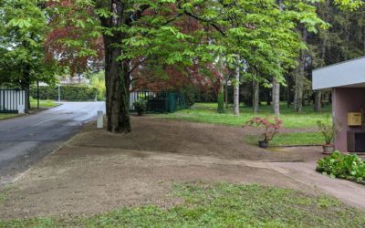 L’importance de l’entretien des espaces verts