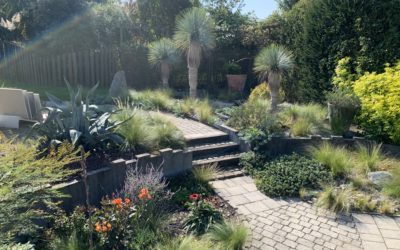 Notre Show-Room à Tencin