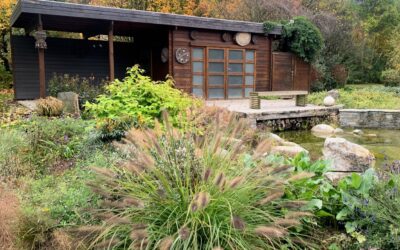 Un abri de jardin GARDIVAL mais …